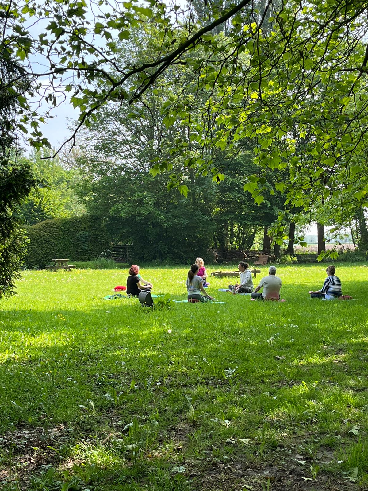 Sesión de yoga al aire libre